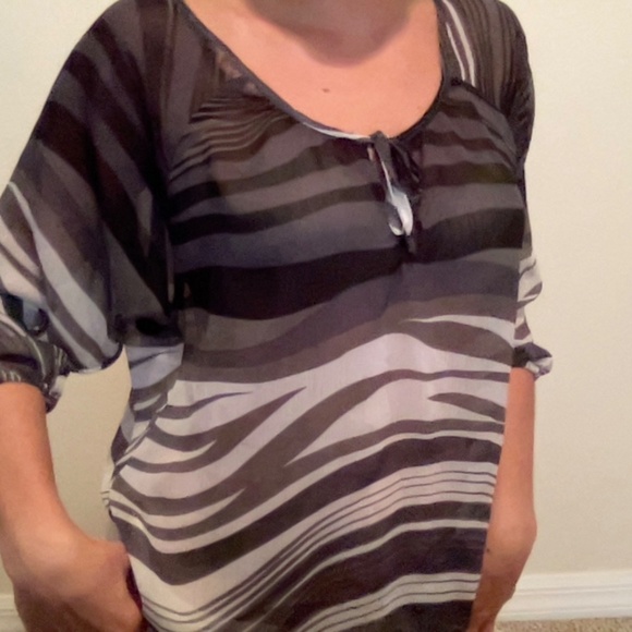 Express Sheer Top 🦓 - Picture 1 of 5